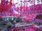 Lost Landscape