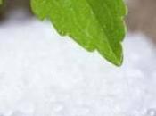 Stevia