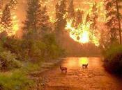 ricarica delle "batterie" eteriche Varie