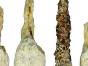 Scheletro perno odontoiatrico?