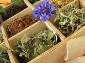 Dimagrire sgonfiarsi erbe piante