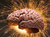 "Cervello: scoperto l’interruttore Genetico attiva Supermemoria"