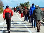 Tutti marcia bastoncino