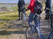 Tour bicicletta nella laguna Venezia