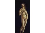 Venere Botticelli mostra Biella