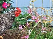 idee decorative giardino