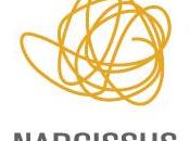 Narcissus sfida self-publishing digitale mondo arabo