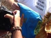 PORDENONE Multa 40mila euro semina