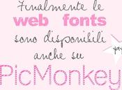 Novità PicMonkey: Finalmente Possiamo Usare Tutte nostre Font!