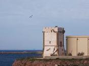 Terrasini, Torre Alba nuova sede dell’Assessorato Turismo