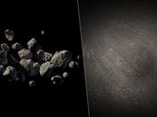 pugno asteroidi