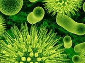 "Antibiotici Naturali: Erbe Cibi Uccidono Superbatteri"