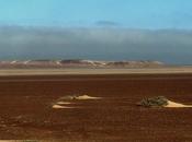 Safari Australe Ovest deserto della Namibia città carattere teutonico