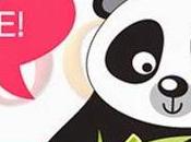 calo traffico web, Panda Everflux l'algoritmo Google.