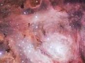 Laguna stelle estive