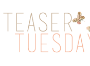 Teaser Tuesday Ogni giorno David Levithan