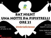 notte Pipistrelli