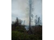 Indonesia batte Brasile