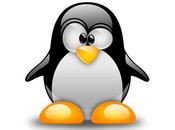 biografia Linus Torvalds, papà Linux.
