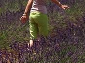 #fioridivenerdì- Provence profusione viola giallo
