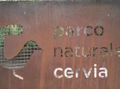 viaggio bimbi: giochi, animali natura nella pineta Cervia