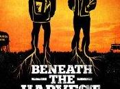 Beneath Harvest
