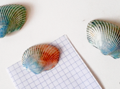 Conchiglie calamitate