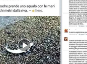 Uccide cucciolo squalo posta Facebook: denunciato.