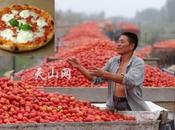 ALLARME PIZZA Pomodori cinesi prodotti italiani