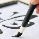 Seminario Aikido Genk (Belgio) Nicola