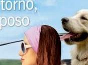 Anteprima: torno sposo voglio! Kristan Higgins