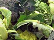 Cavolo, solo bello anche buono. Qualche ricetta