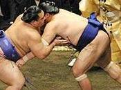 campione sumo Hakuho chiede scusa