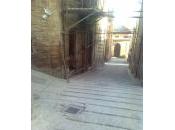 Impalcatura piccioni. sono novità