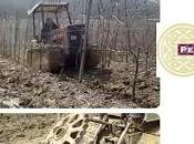 Lavori invernali vigneto Colmata Villa Petriolo