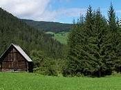 Tirolo uber alles