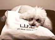L.I.F.E. back stage doggy