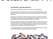 Dolce Gabbana Animalier 2011 Eyewear Collection