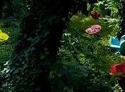 rubrica _design your life giardino Edra