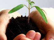 Tornare “vivere” politica