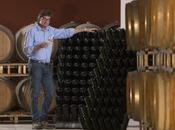 Isera, storia debiti Marzemino