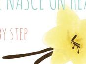 Come Nasce Header {step step}