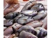 pesce bene anche contro l’insonnia