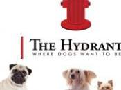 articolo parla Hydrant!