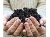 Riutilizzo degli scarti (2): compost