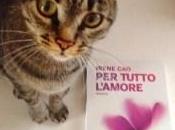 sempre bello ricevere #libri, dice anche #mici