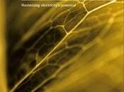 25/07/2014 Rapporto 2014 sulle prospettive delle Tecnologie Energetiche