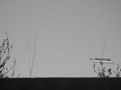 OPER’AZIONE NAFTA, Airport Meconium