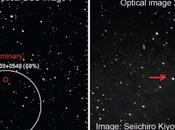 Novae emissione gamma