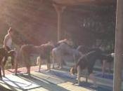 Yoga tramonto, spiaggia sull’Arno dedica martedì allo sport